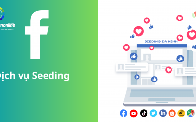 Dịch Vụ Seeding Là Gì?