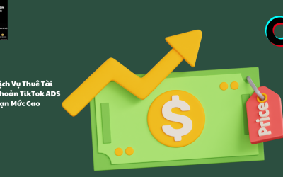 Dịch Vụ Thuê Tài Khoản TikTok ADS Hạn Mức Cao