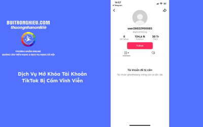 Dịch Vụ Mở Khóa Tài Khoản TikTok Bị Cấm Vĩnh Viễn