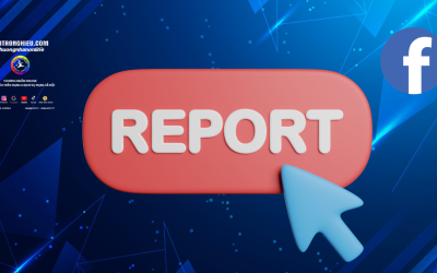 Professional Facebook Fanpage Report Service