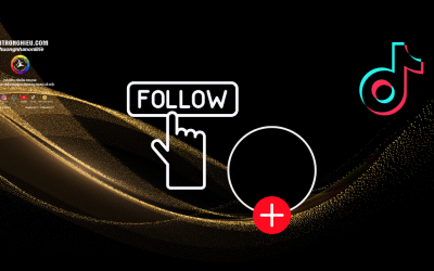 TikTok Followers Boosting Service