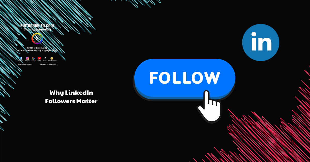 LinkedIn Followers Growth Service