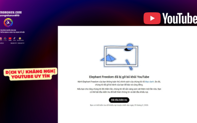 Dịch Vụ Kháng Nghị YouTube Uy Tín – Giúp Kênh Khôi Phục Nhanh Chóng