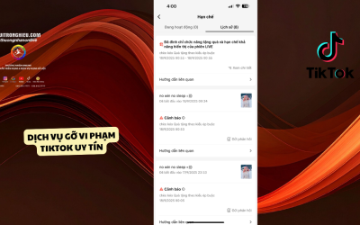 Dịch Vụ Gỡ Vi Phạm TikTok Uy Tín, Nhanh Chóng