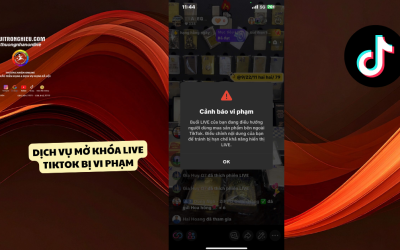 Dịch Vụ Mở Khóa Live TikTok Bị Vi Phạm Uy Tín