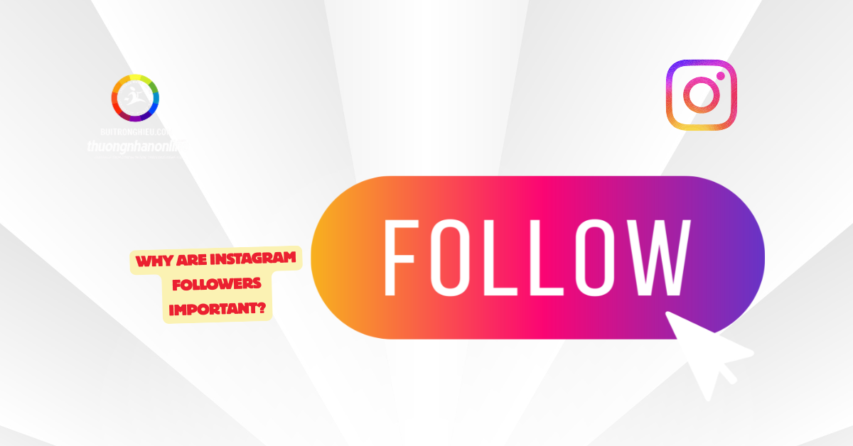 instagram follower growth