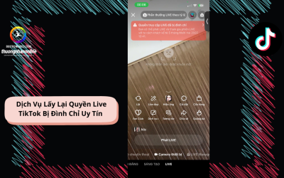 Dịch Vụ Lấy Lại Quyền Live TikTok Bị Đình Chỉ Uy Tín