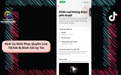 Dịch Vụ Khôi Phục Quyền Live TikTok Bị Đình Chỉ Uy Tín