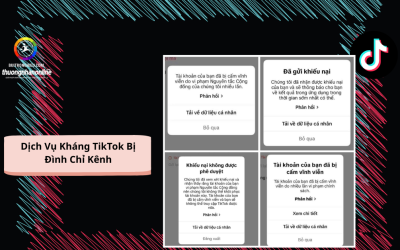 Dịch Vụ Kháng TikTok Bị Đình Chỉ Kênh Uy Tín !