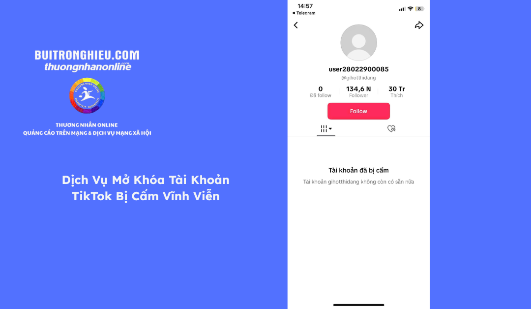 dịch vụ mở khóa tài khoản tiktok bị cấm vĩnh viễn